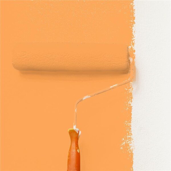 Wandfarbe Matt NCS-S-0560-Y40R WALLCOVER Colors