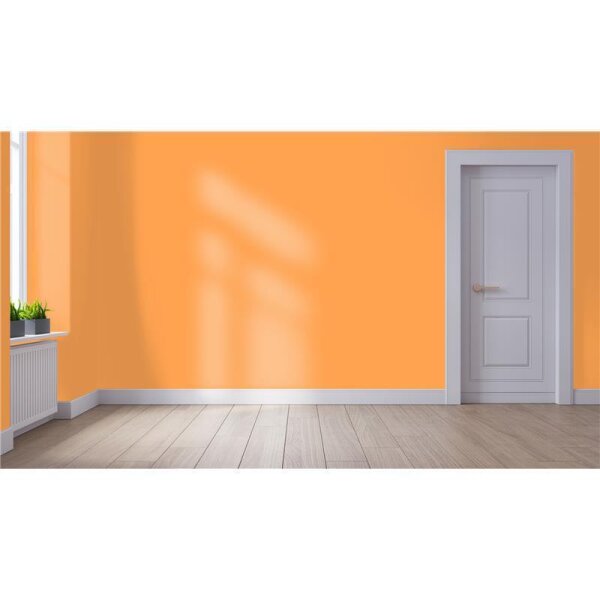 Wandfarbe Matt NCS-S-0560-Y40R WALLCOVER Colors