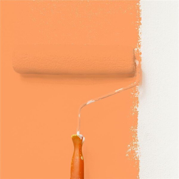 Wandfarbe Matt NCS-S-0560-Y50R WALLCOVER Colors