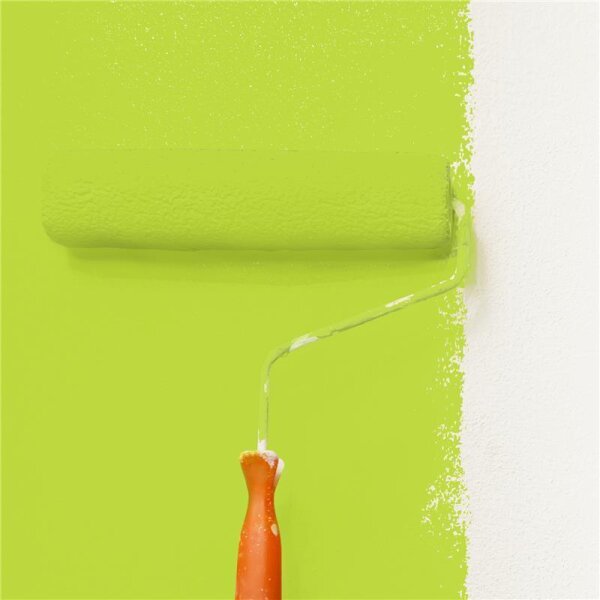 Wandfarbe Matt NCS-S-0565-G50Y WALLCOVER Colors