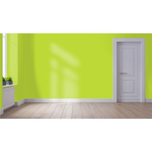 Wandfarbe Matt NCS-S-0565-G50Y WALLCOVER Colors