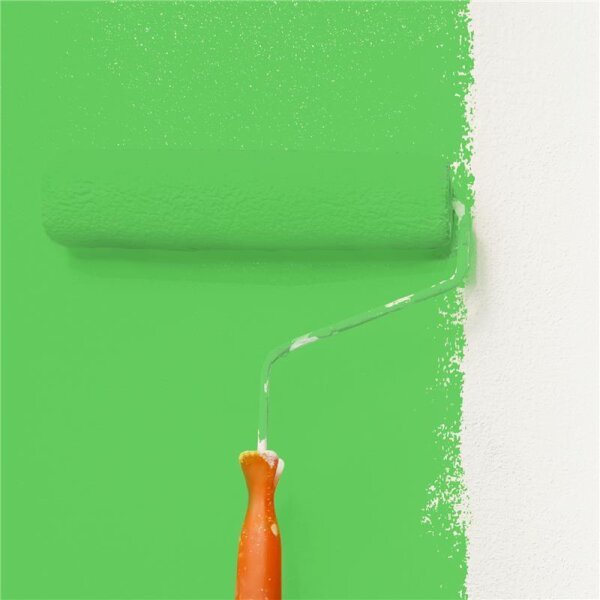 Wandfarbe Matt NCS-S-0570-G20Y WALLCOVER Colors