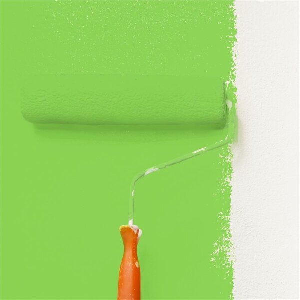 Wandfarbe Matt NCS-S-0570-G30Y WALLCOVER Colors