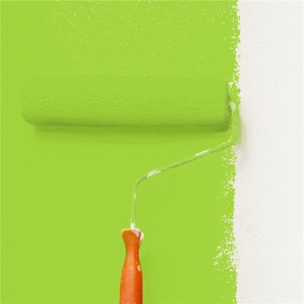 Wandfarbe Matt NCS-S-0570-G40Y WALLCOVER Colors