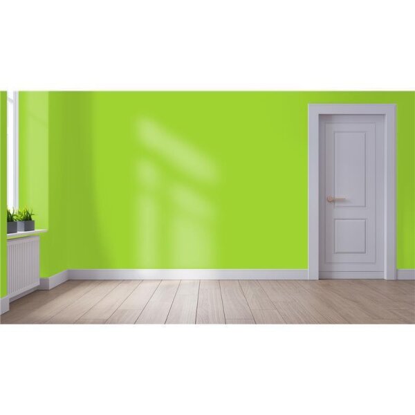 Wandfarbe Matt NCS-S-0570-G40Y WALLCOVER Colors