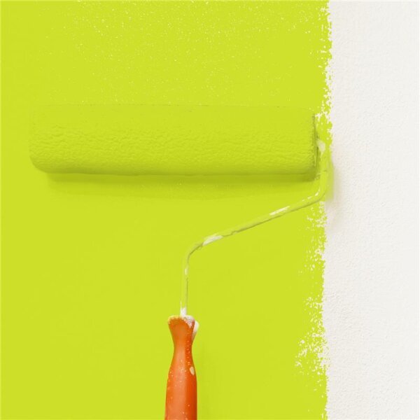 Wandfarbe Matt NCS-S-0570-G60Y WALLCOVER Colors