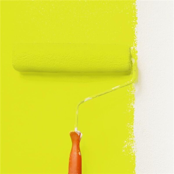 Wandfarbe Matt NCS-S-0570-G70Y WALLCOVER Colors