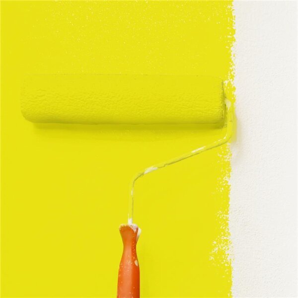 Wandfarbe Matt NCS-S-0570-G80Y WALLCOVER Colors
