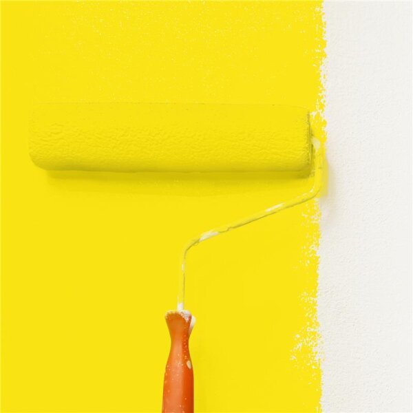 Wandfarbe Matt NCS-S-0570-G90Y WALLCOVER Colors