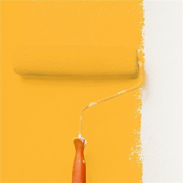Wandfarbe Matt NCS-S-0570-Y20R WALLCOVER Colors