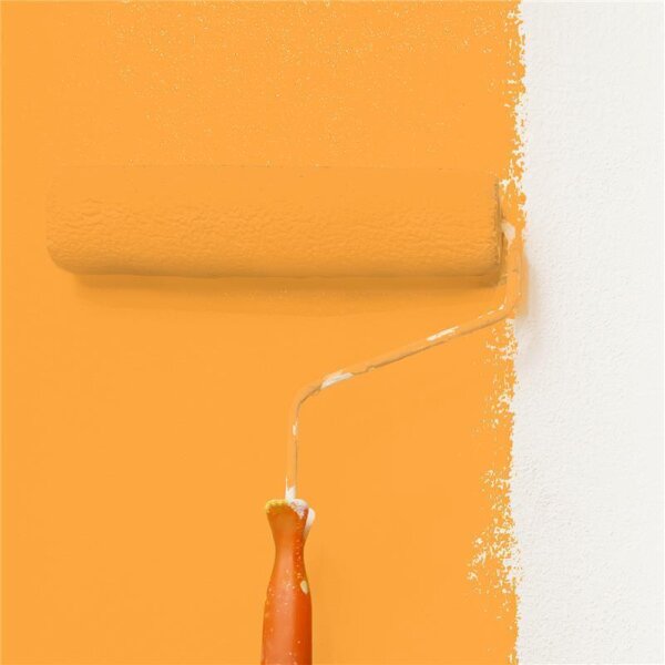Wandfarbe Matt NCS-S-0570-Y30R WALLCOVER Colors