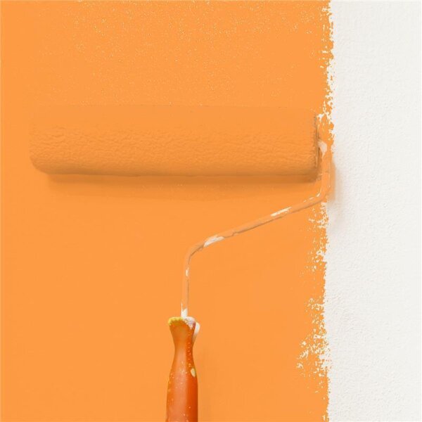 Wandfarbe Matt NCS-S-0570-Y40R WALLCOVER Colors