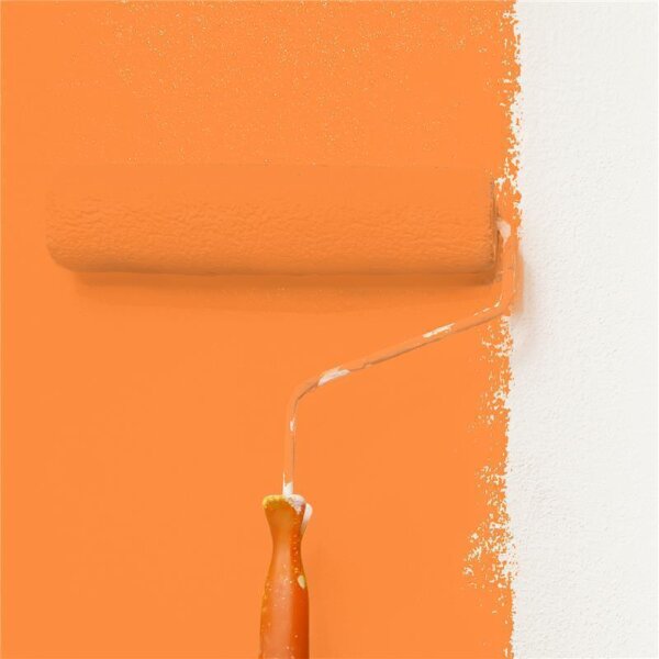 Wandfarbe Matt NCS-S-0570-Y50R WALLCOVER Colors