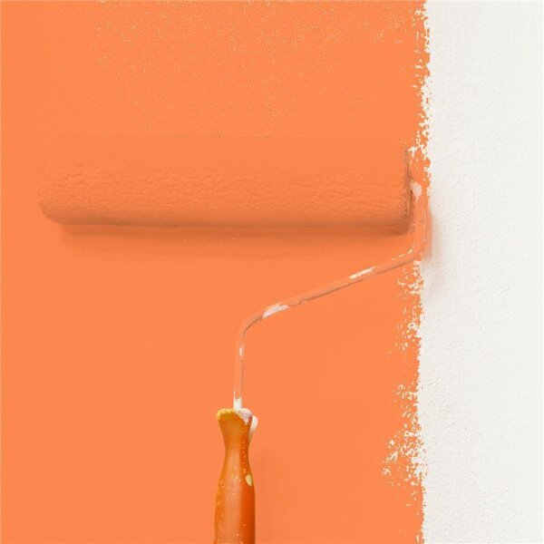 Wandfarbe Matt NCS-S-0570-Y60R WALLCOVER Colors