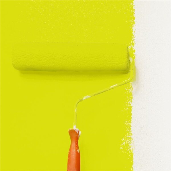 Wandfarbe Matt NCS-S-0575-G70Y WALLCOVER Colors