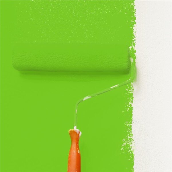 Wandfarbe Matt NCS-S-0580-G30Y WALLCOVER Colors
