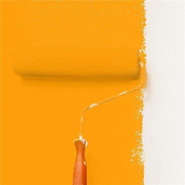 Wandfarbe Matt NCS-S-0580-Y30R WALLCOVER Colors