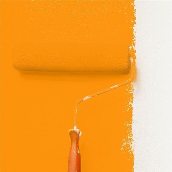 Wandfarbe Matt NCS-S-0580-Y40R WALLCOVER Colors