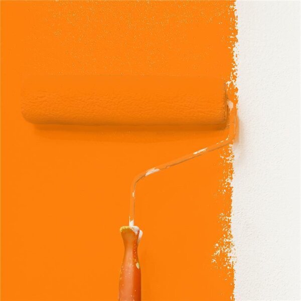 Wandfarbe Matt NCS-S-0580-Y50R WALLCOVER Colors