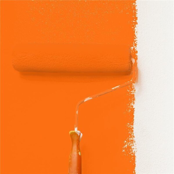 Wandfarbe Matt NCS-S-0580-Y60R WALLCOVER Colors