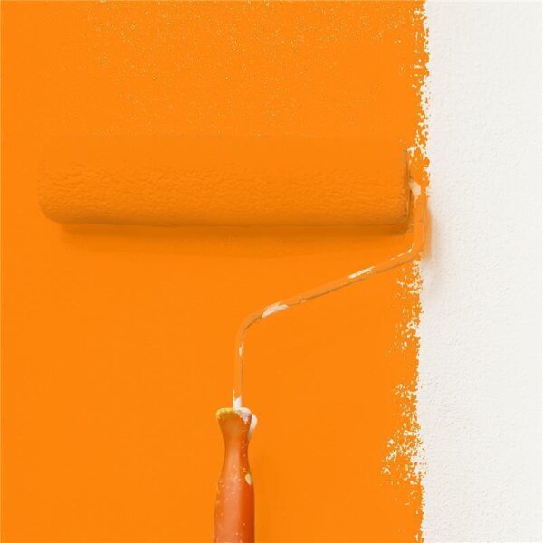 Wandfarbe Matt NCS-S-0585-Y50R WALLCOVER Colors