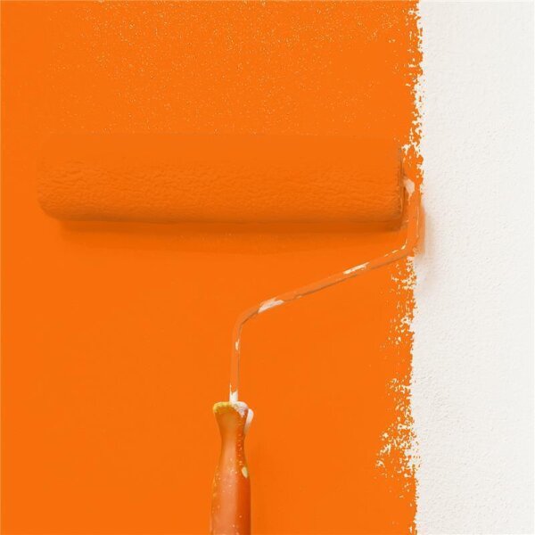 Wandfarbe Matt NCS-S-0585-Y60R WALLCOVER Colors