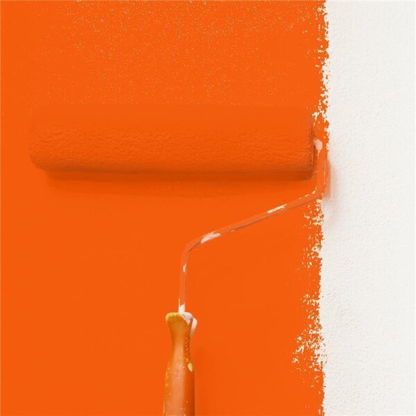 Wandfarbe Matt NCS-S-0585-Y70R WALLCOVER Colors