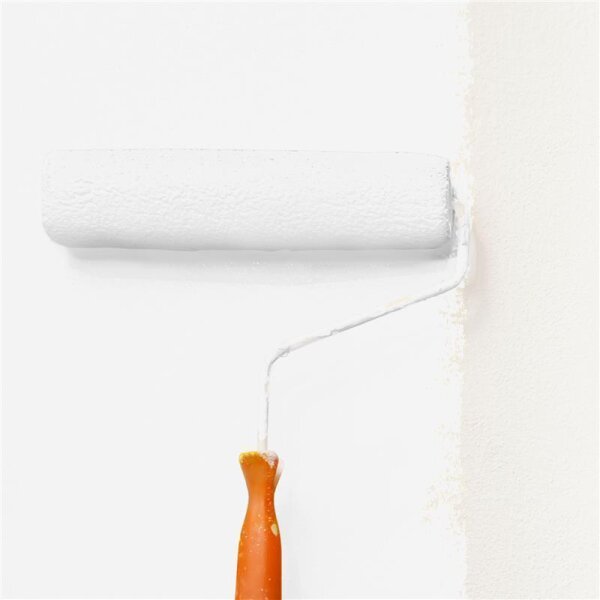 Wandfarbe Matt NCS-S-0601-R WALLCOVER Colors