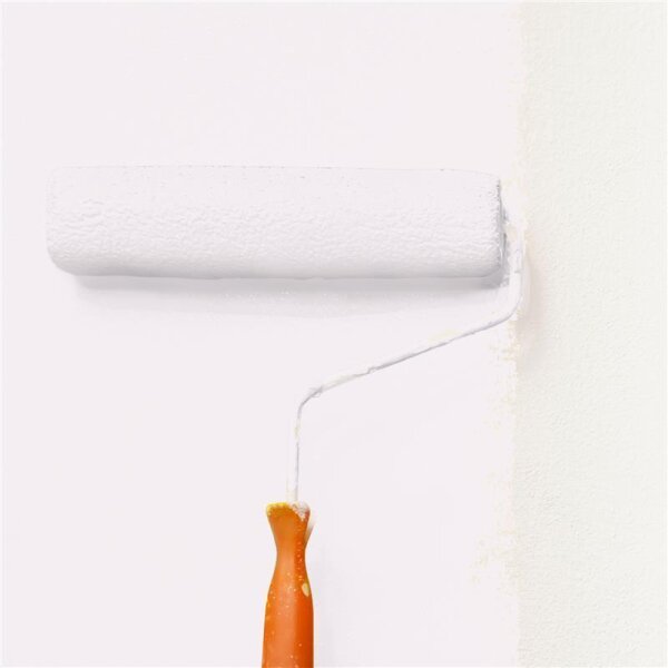 Wandfarbe Matt NCS-S-0603-R20B WALLCOVER Colors
