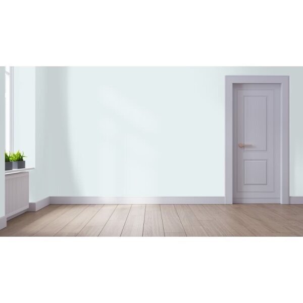 Wandfarbe Matt NCS-S-0804-B50G WALLCOVER Colors