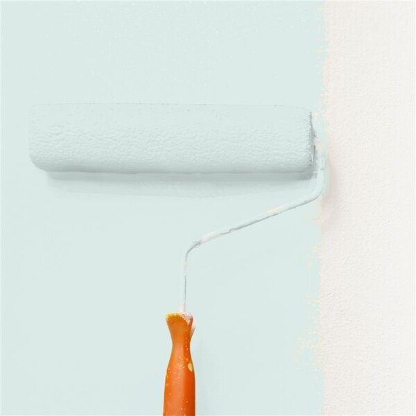 Wandfarbe Matt NCS-S-0907-B80G WALLCOVER Colors