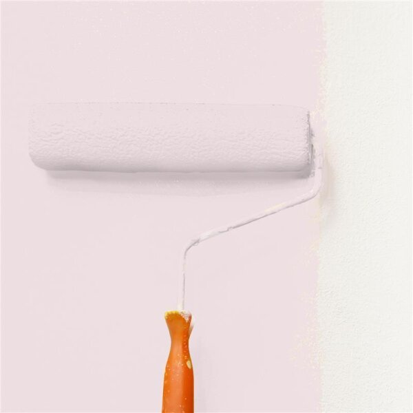 Wandfarbe Matt NCS-S-0907-R10B WALLCOVER Colors