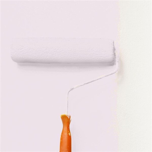 Wandfarbe Matt NCS-S-0907-R30B WALLCOVER Colors