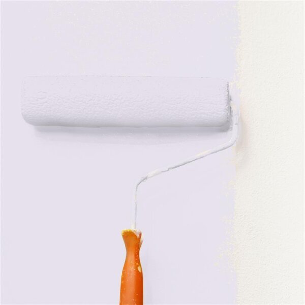 Wandfarbe Matt NCS-S-0907-R50B WALLCOVER Colors