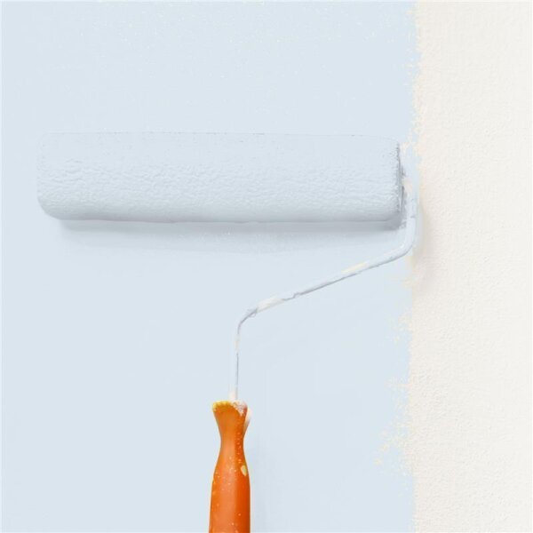 Wandfarbe Matt NCS-S-0907-R90B WALLCOVER Colors