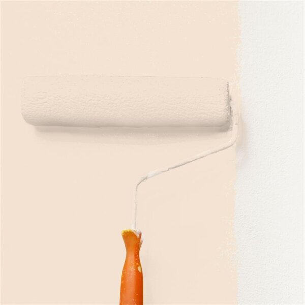 Wandfarbe Matt NCS-S-0907-Y50R WALLCOVER Colors