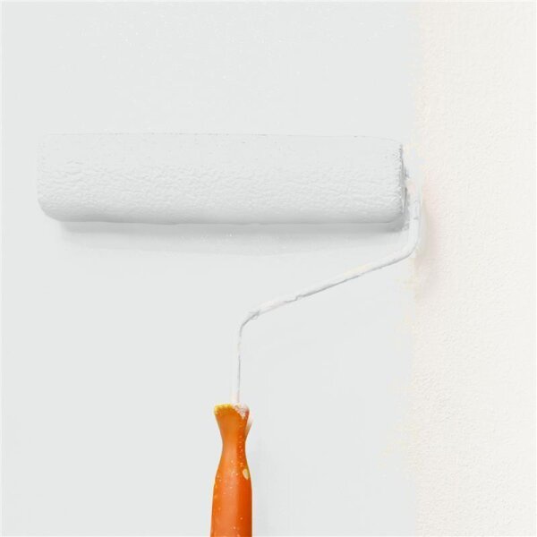 Wandfarbe Matt NCS-S-1001-G WALLCOVER Colors