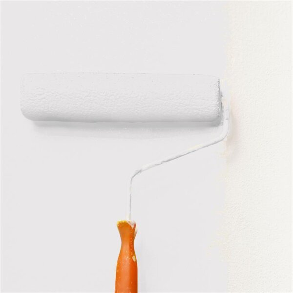 Wandfarbe Matt NCS-S-1001-R WALLCOVER Colors