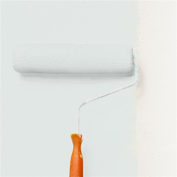 Wandfarbe Matt NCS-S-1002-G WALLCOVER Colors