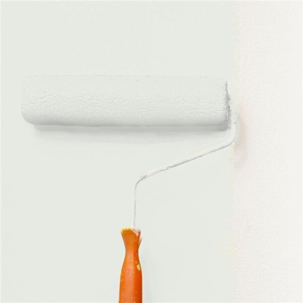 Wandfarbe Matt NCS-S-1002-G50Y WALLCOVER Colors