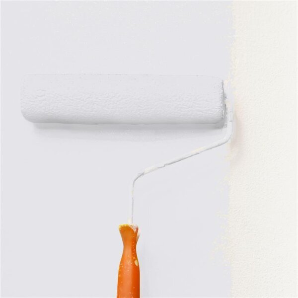 Wandfarbe Matt NCS-S-1002-R50B WALLCOVER Colors