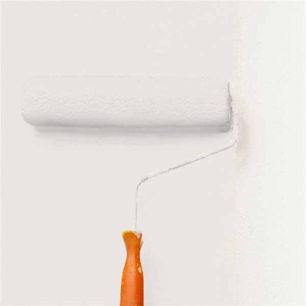 Wandfarbe Matt NCS-S-1002-Y80R WALLCOVER Colors