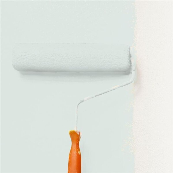 Wandfarbe Matt NCS-S-1005-G WALLCOVER Colors