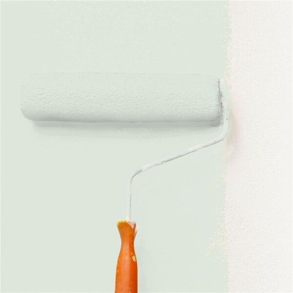 Wandfarbe Matt NCS-S-1005-G20Y WALLCOVER Colors