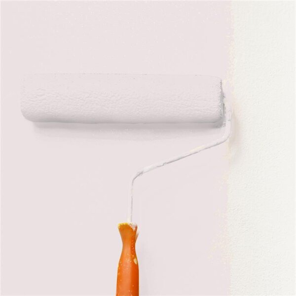 Wandfarbe Matt NCS-S-1005-R10B WALLCOVER Colors