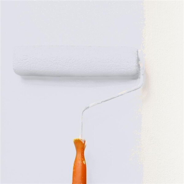 Wandfarbe Matt NCS-S-1005-R60B WALLCOVER Colors