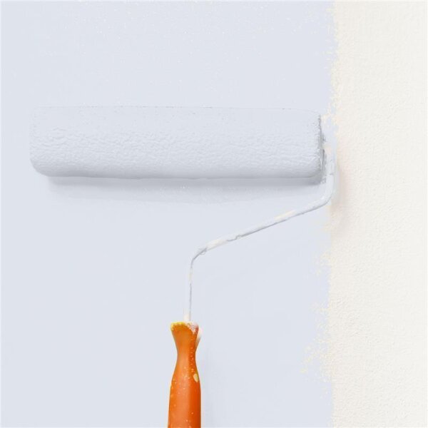 Wandfarbe Matt NCS-S-1005-R70B WALLCOVER Colors