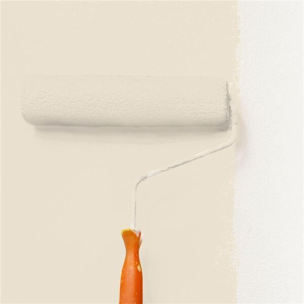 Wandfarbe Matt NCS-S-1005-Y30R WALLCOVER Colors