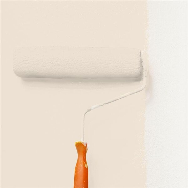 Wandfarbe Matt NCS-S-1005-Y40R WALLCOVER Colors