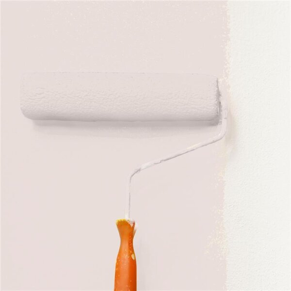 Wandfarbe Matt NCS-S-1005-Y90R WALLCOVER Colors